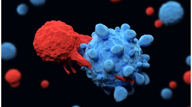 Проф. Андрю Сюъл и екипът му в Университета в Кардиф откриха неизвестен до момента рецептор в Т-клетките, който безпогрешно открива една специфична молекула, присъстваща на повърхността на повечето ракови клетки.