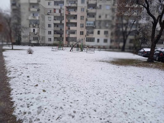 На този етап няма сигнали за паднали дървета и клони.