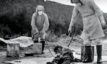 Отряд 731 - тайната програма за биологично оръжие на Япония