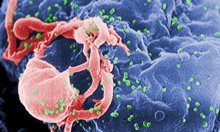 Атака в гръб срещу ХИВ и рак чрез редактиране на ДНК