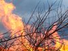 Огнен ад в Монтанско. Огнеборците гасили близо 1000 декара сухи треви и храсти</p><p>