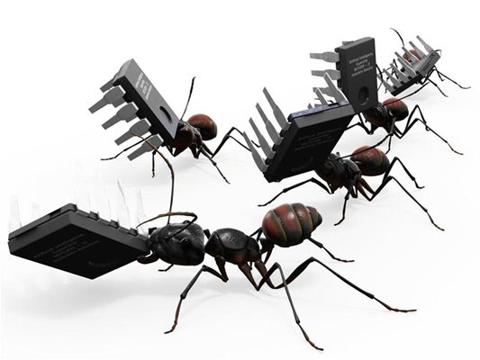 Дигитални мравки борят вируси в компютъра