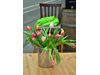 5 начина да запазим цветята във вазата свежи