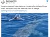 Огромна акула плува мирно до хора край Малага (Видео)