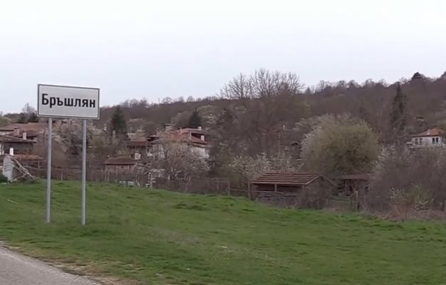 Село Бръшлян в борба с мигрантите
Кадър: Nova News