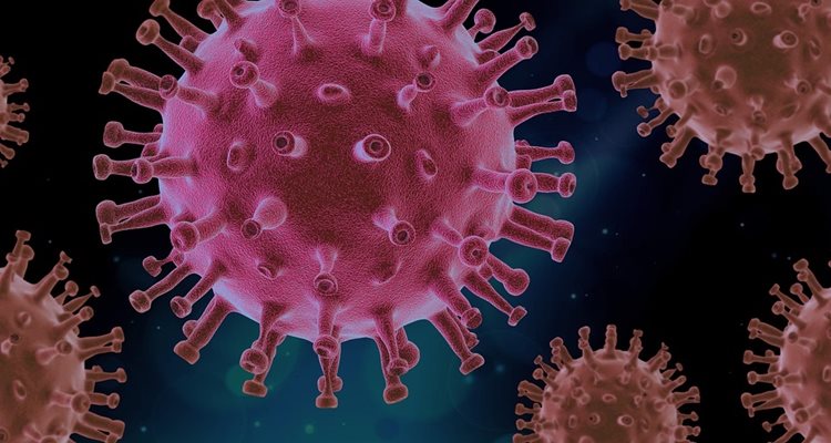 Учени от Нидерландия съобщиха за рядък случай на инфекция от КОВИД-19, продължила 613 дни