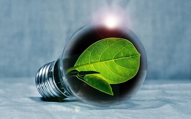 Зелена енергия СНИМКА: Pixabay