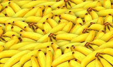 Кокаинът, открит сред банани в берлински супермаркети, е 223 кг