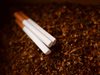 Иззеха над тон нелегален тютюн в Плевенско

