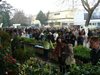 Показват екзотични растения на "Цветна пролет" в Пловдив