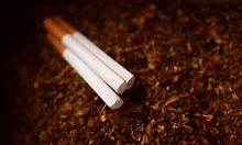 Иззеха над тон нелегален тютюн в Плевенско

