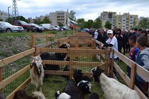 Фермери показаха автохтонни породи животни край Момчилград