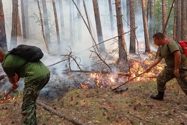 Военнослужещите продължават да помагат в борбата с огъня над Югово.