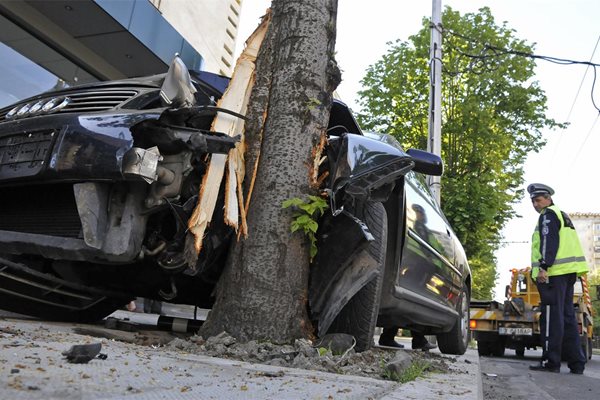 След удар в дърво или преобръщане на колата на пътя са загинали 236 души м.г.

