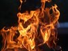 80 кози изгоряха в пожар край Созопол