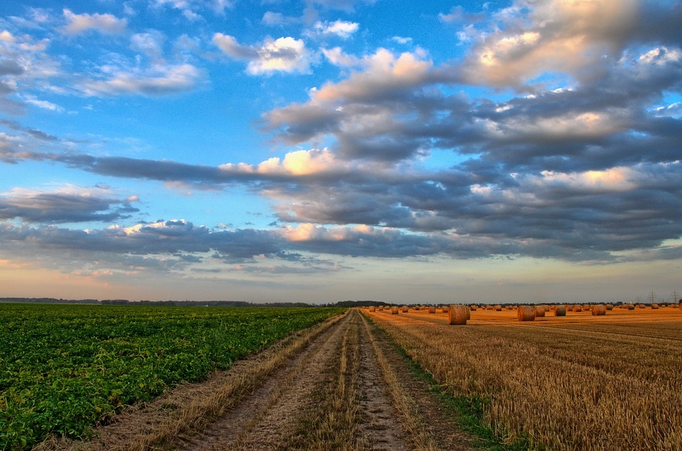 "Евростат": България е на 8 място по най-високи цени на рентите за земеделска земя