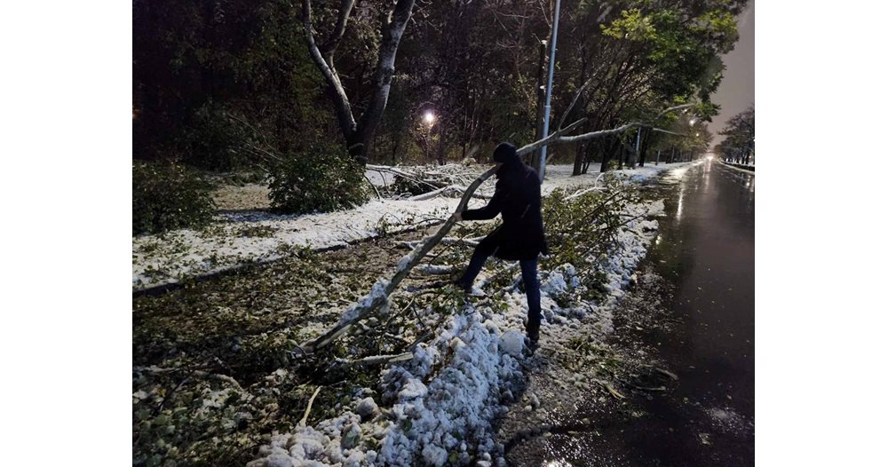 Regardez comment le maire de Plovdiv enlève les branches de neige tombées (photos)