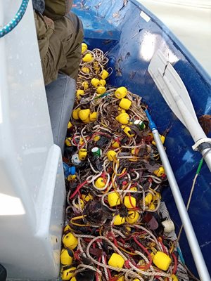 Извадиха 12 броя бракониерски кърмаци при проверка на река Дунав край Свищов
СНИМКА: Facebook/ИАРА - Изпълнителна агенция по рибарство и аквакултури