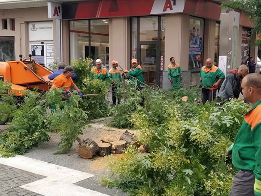 Бригадата действаше бързо и приключи за по-малко от половин час, но живеещите в близките сгради се оплакаха от невъобразимия шум.