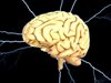 Учени търсят лечение на аутизъм и шизофрения чрез въздействие върху мозъка