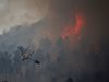 Португалия поиска помощ от Европа за потушаването на горските пожари