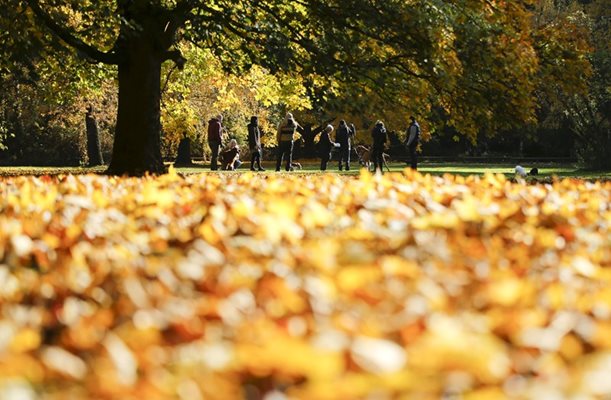 Хора разхождат кучетата си в есенен парк в Берлин, Германия.