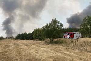 Вятърът разпалва пожара край Отец Паисиево, гори в две посоки