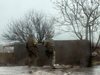 УНИАН: До 500 украински войници загиват на фронта всеки ден