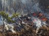 Пожарът в Ловчен заплашва мавзолея на Петър Петрович Ниегош