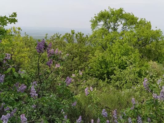 По този начин жители на Белащица си представят района на кариерите над селото. Снимка: "24 часа"