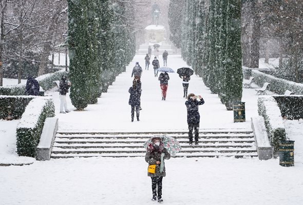 В части от Централна Испания, в това число и столицата Мадрид, се очаква снеговалежите да продължат над 24 часа СНИМКИ: Ройтерс