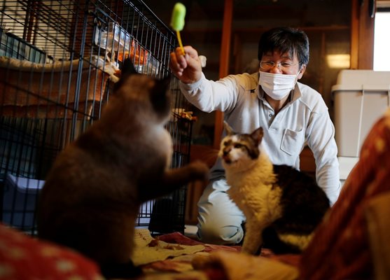 57-годишният мъж играе със спасените от него котки Чарм и Мокун.

