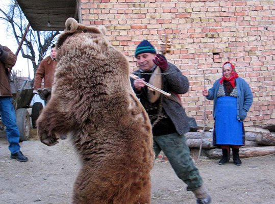 За последно от Ягода взеха мечката Станка - през февруари 2004 година. На изпроводяк нейният стопанин Димитър Костов за последно хвана гъдулката.