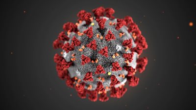 Новият коронавирус настъпва от Африка към Европа СНИМКА: РОЙТЕРС