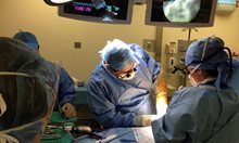 Над 2000 донори в Испания, 5800 трансплантации във Франция