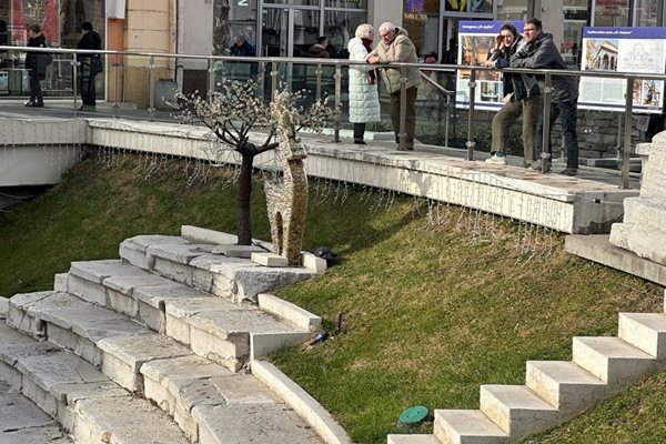 Въпреки ниските температури хора ще могат да се разходят в неделя, без да се притесняват от дъжд.