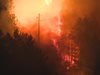 Първо в "24 часа": Над 70 души гасят горски пожар край Стара Кресна (Обновена)