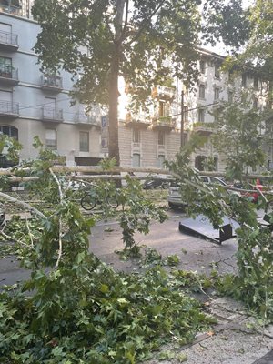 Последиците от опустошителната буря в Милано Снимка: Туитър