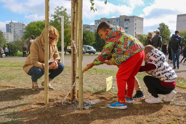 Десислава Билева и учениците от 33 ОУ засадиха дръвчета в двора на училището.
СНИМКИ: ДЕНИС ХРИСТОВ