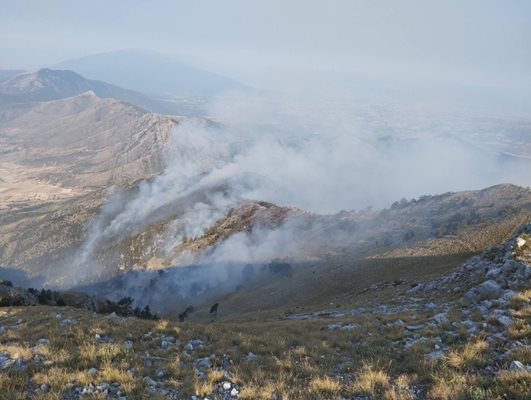 Пожарът в близост до границата ни с Гърция. Снимка: