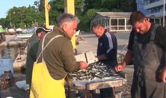 За спешна държавна помощ настояват рибарите