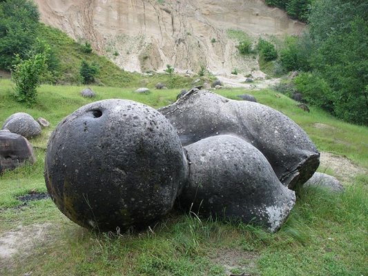 Живи камъни се плодят в Румъния