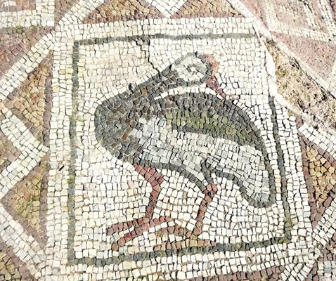70 изображения на птици в различни пози фигурират върху горния пласт мозайки.
