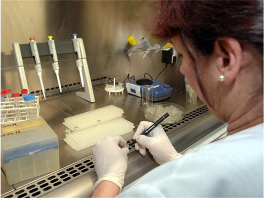 150 лв. струва изследването на една проба в акредитираната
за ГМО лаборатория към Министерството на  здравеопазването.
СНИМКИ: “24 ЧАСА”