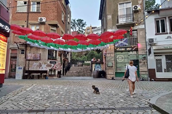 Чадъри в бяло, зелено и червено на ул. "Абаджийска".