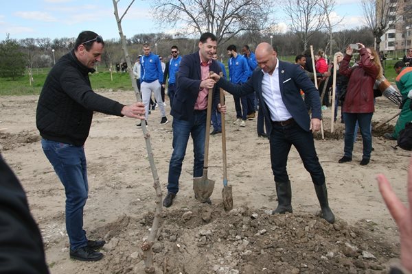 Костадин Димитрор /вдясно/, Иван Тотев и кметът на "Източен" Николай Чунчуков засаждат чинар. Снимки: Евгени Цветков