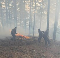 Голям пожар край Сатовча, служители на „ДЛС Дикчан" се борят с огъня.