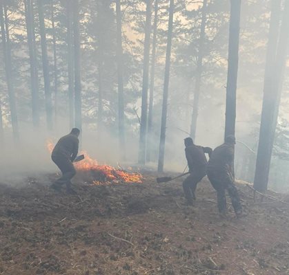 Горски служители гасят голям пожар край Сатовча (снимки, видео)