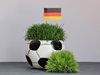 Германия иска Евро 2024 по футбол