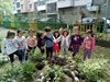 Всички с награди от конкурс за най-красива градинка в Пловдив